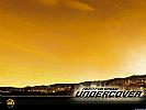 Need for Speed: Undercover - wallpaper #4