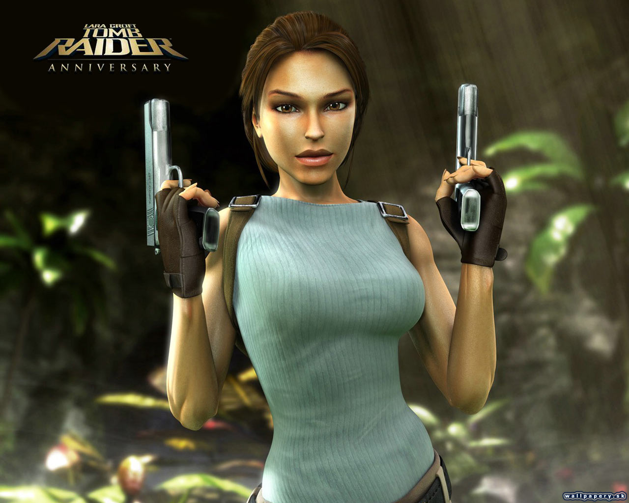 Tomb Raider: Anniversary - wallpaper 1