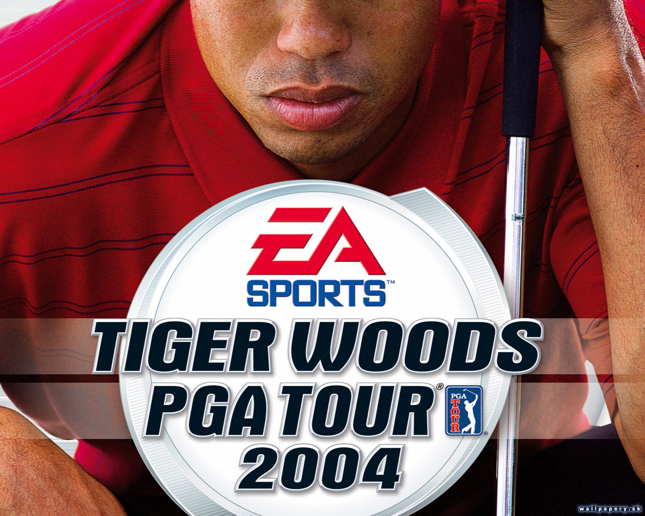 Tiger Woods PGA Tour 2004 - wallpaper 4