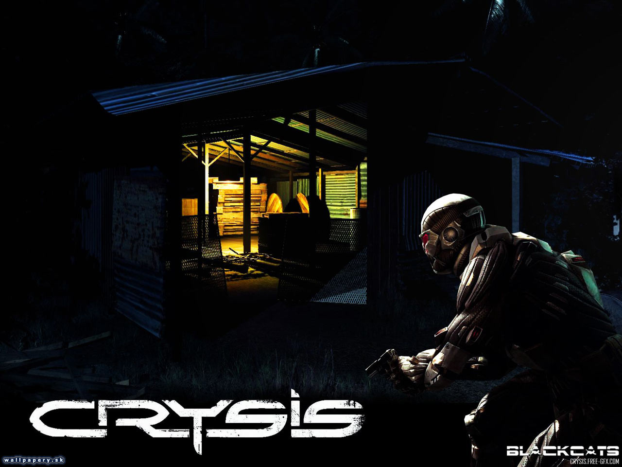 Crysis - wallpaper 37