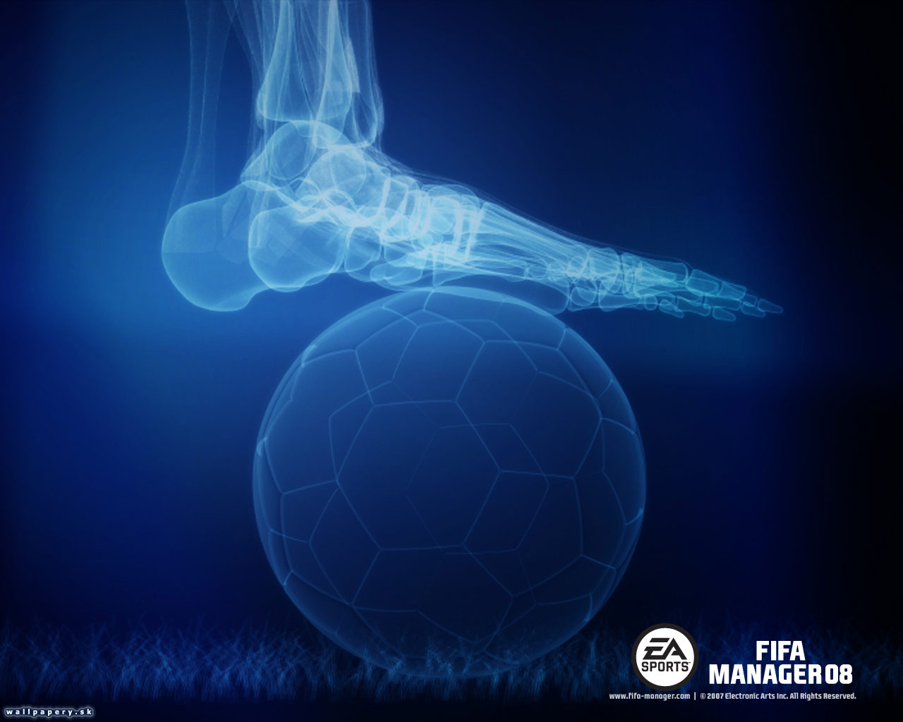 FIFA Manager 08 - wallpaper 3