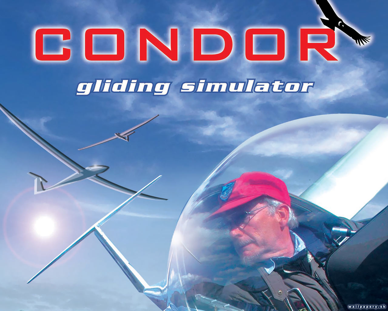 Condor: The Competition Soaring Simulator - wallpaper 2