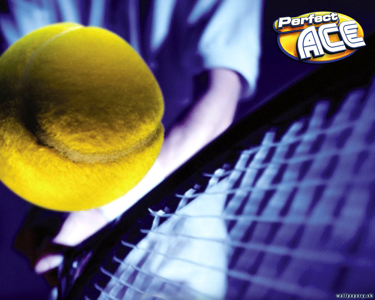 Perfect Ace: Pro Tournament Tennis - wallpaper 1