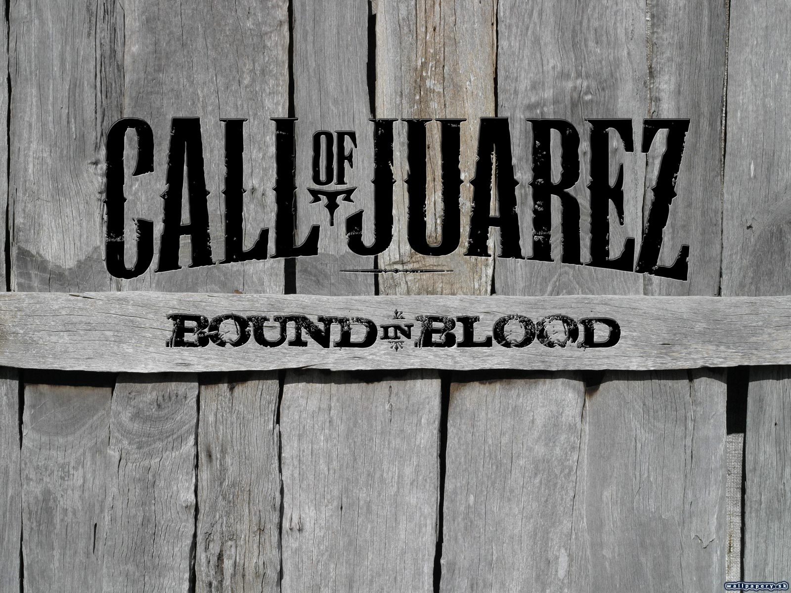 Call of Juarez: Bound in Blood - wallpaper 3