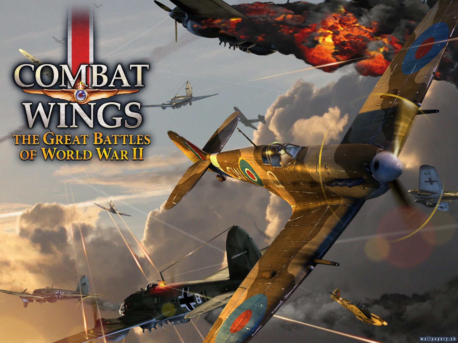 Combat Wings: The Great Battles of WWII - wallpaper 7
