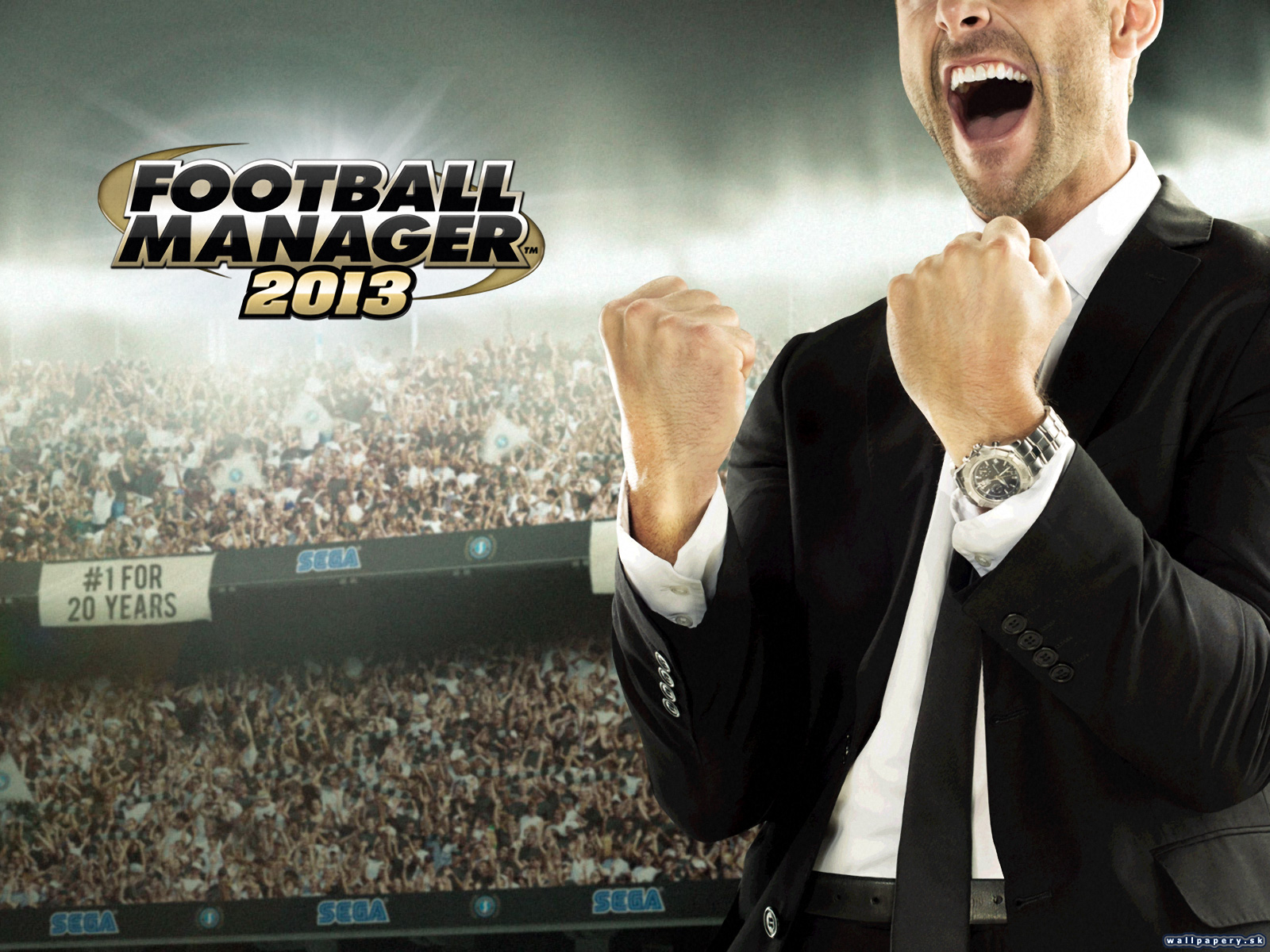 Football Manager 2013 - wallpaper 1