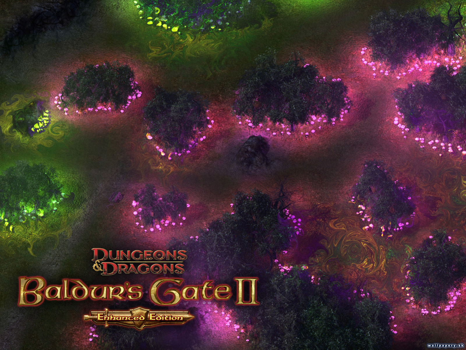 Baldur's Gate II: Enhanced Edition - wallpaper 3