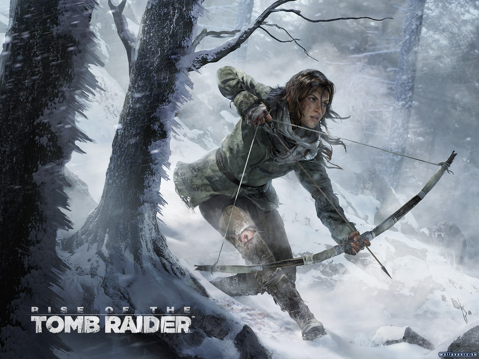 Rise of the Tomb Raider - wallpaper 1
