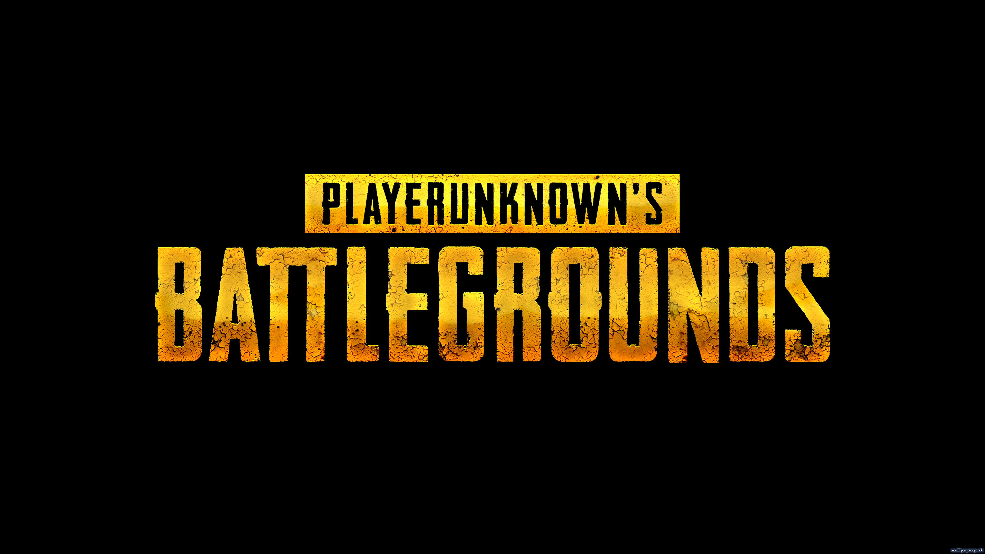 Playerunknown's Battlegrounds - wallpaper 3