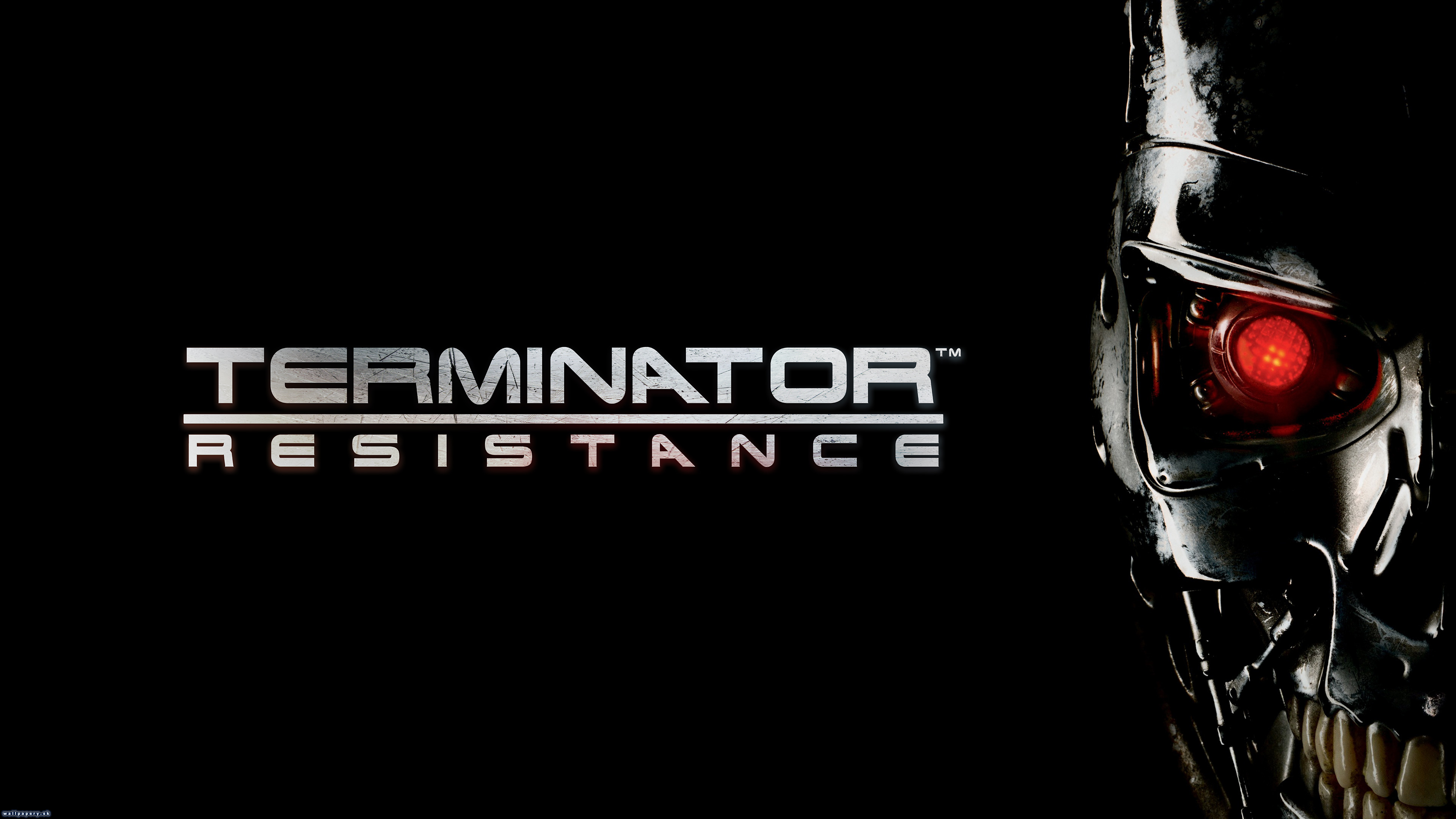 Terminator: Resistance - wallpaper 2