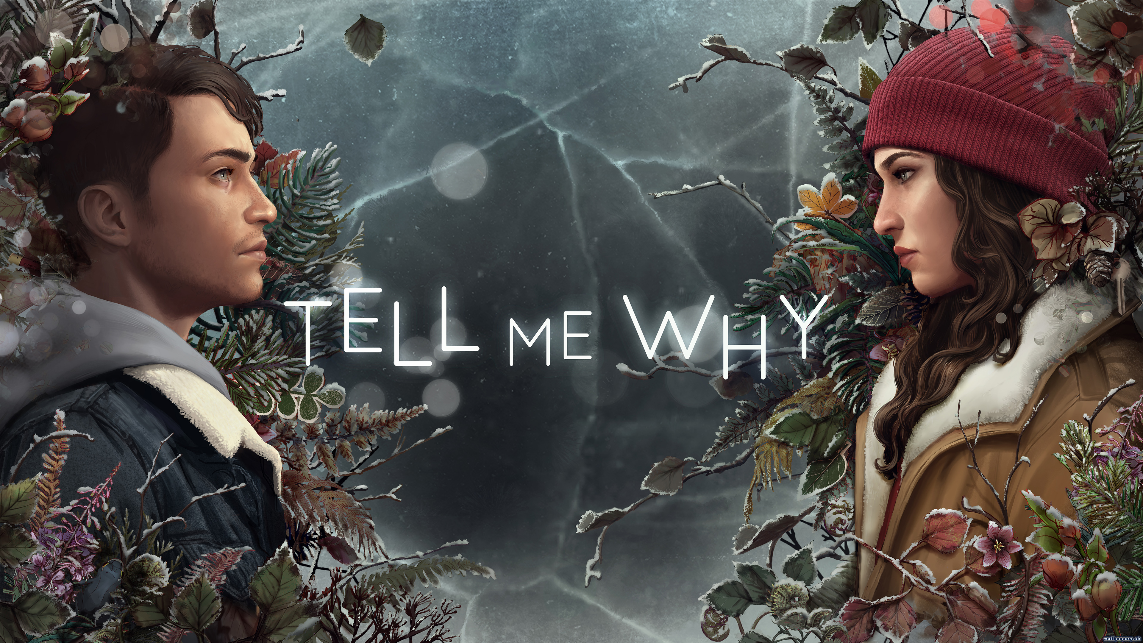 Tell Me Why - wallpaper 2