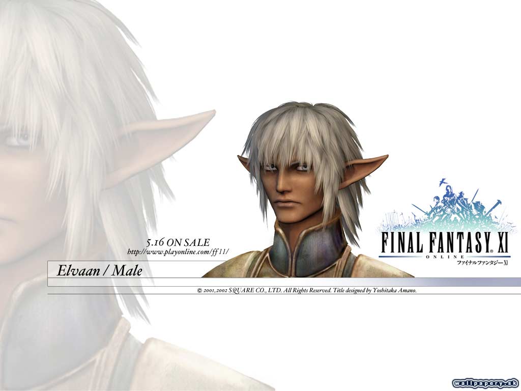 Final Fantasy XI: Online - wallpaper 22