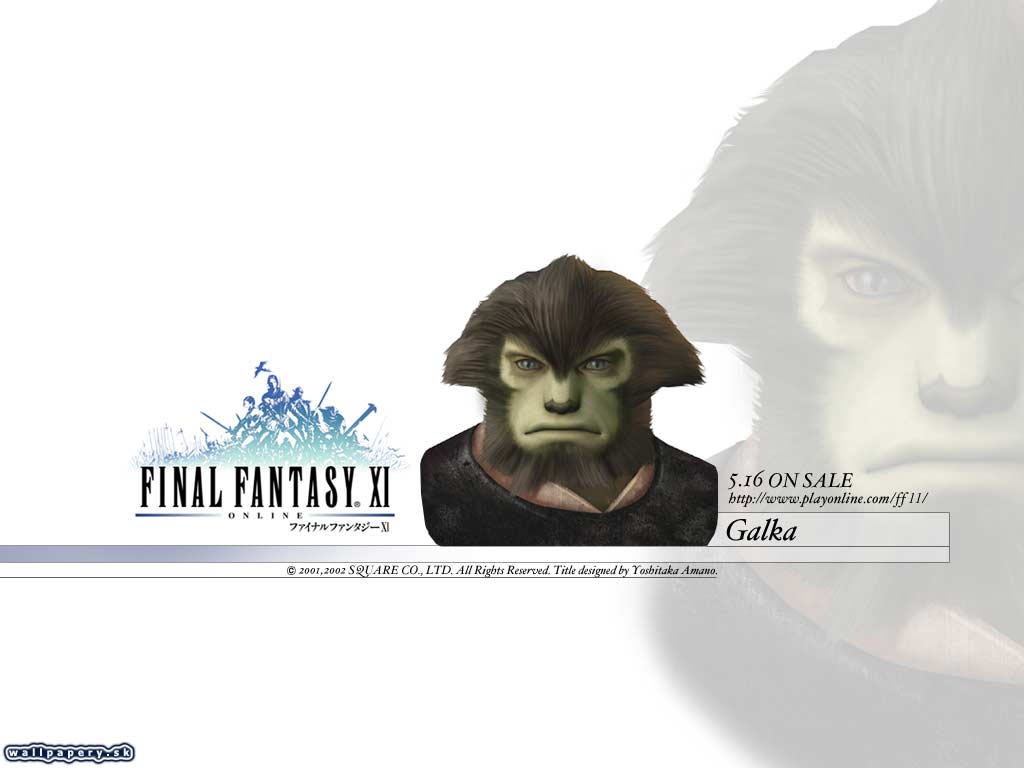 Final Fantasy XI: Online - wallpaper 25